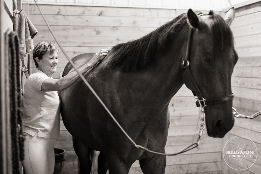 minnesota-horse-photographer-02.JPG