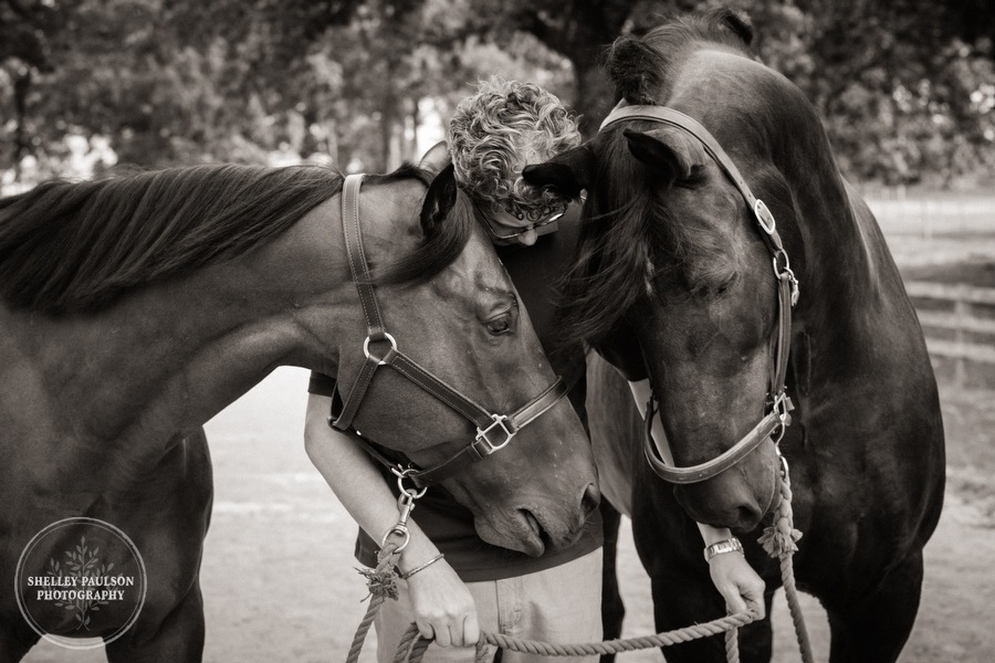 minnesota-horse-photographer-05.JPG