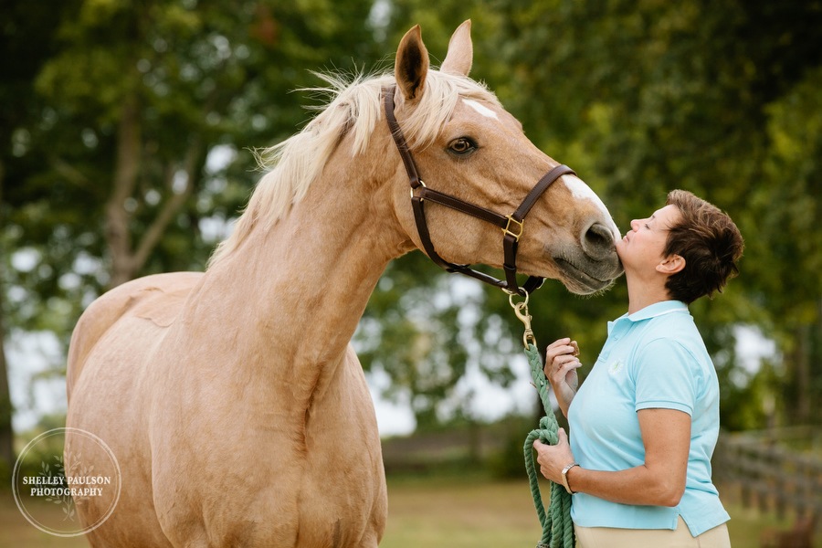 minnesota-horse-photographer-08.JPG