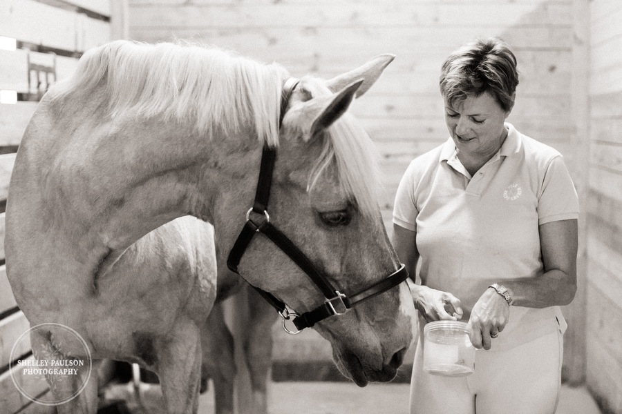 minnesota-horse-photographer-21.JPG