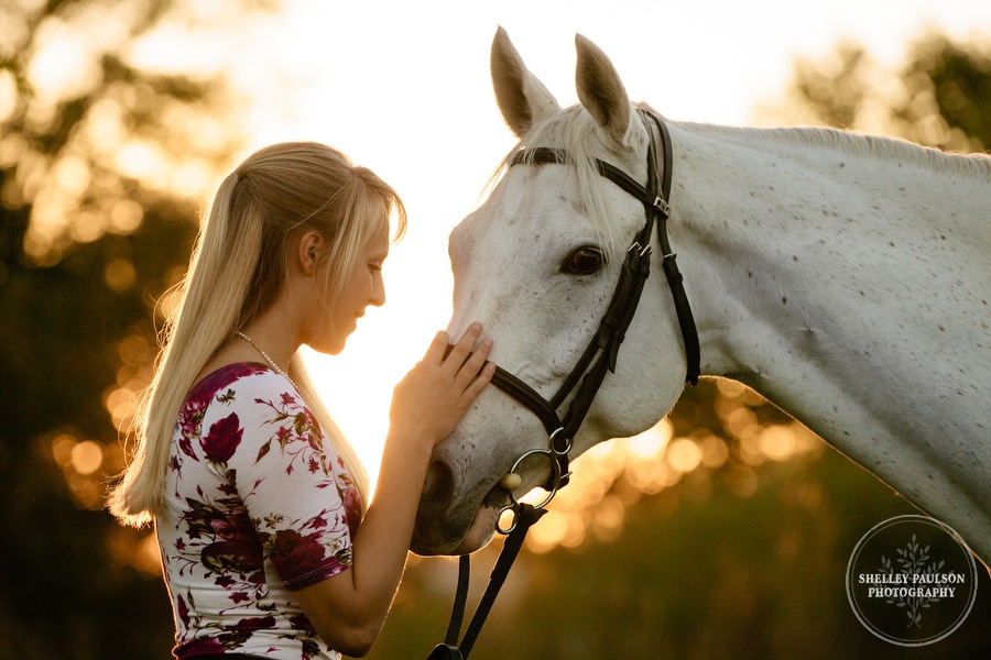 equine-senior-portraits-minnesota-11.JPG