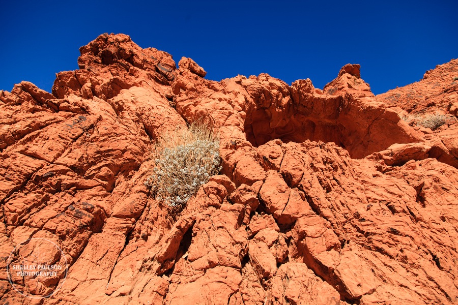 antelope-canyon-photos-22.JPG