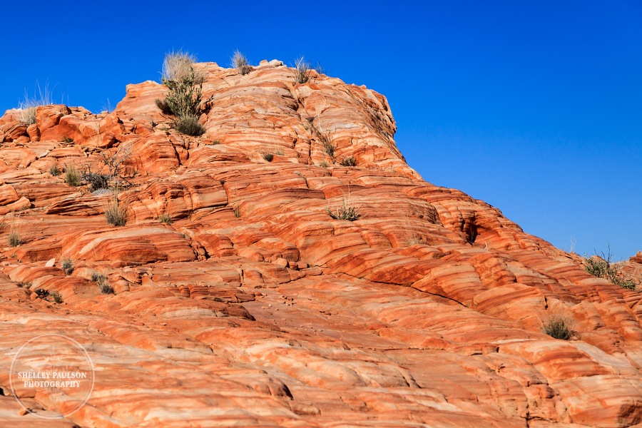 antelope-canyon-photos-26.JPG