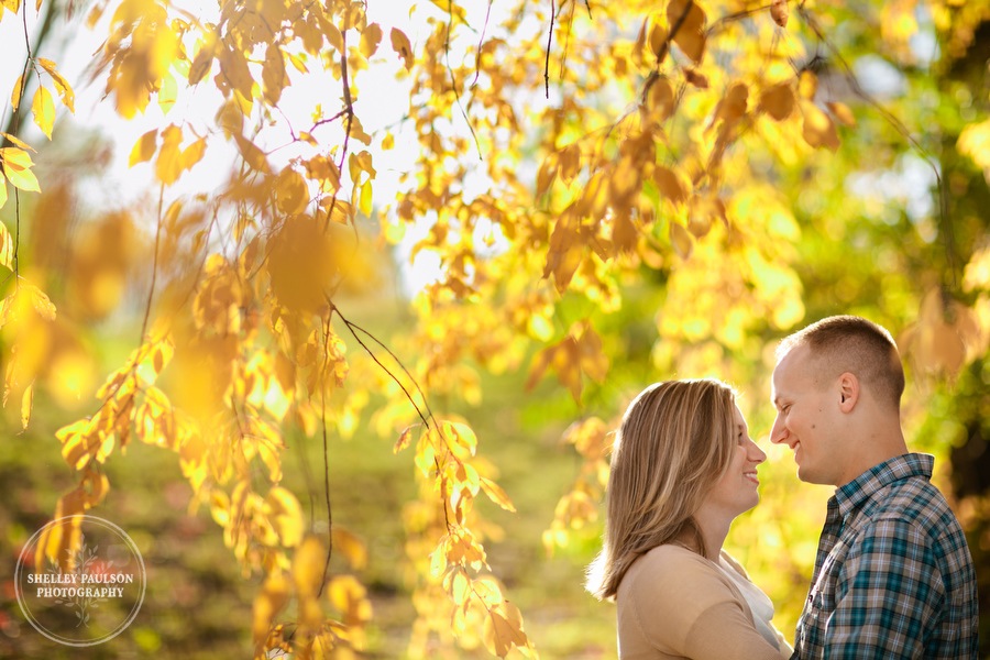 engagement-horses-minnesota-01.JPG