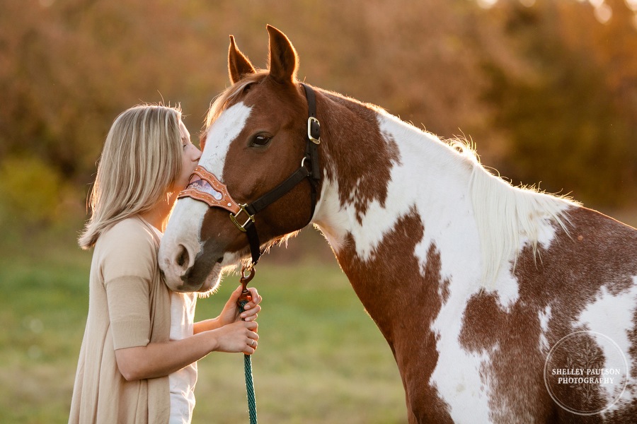 engagement-horses-minnesota-10.JPG