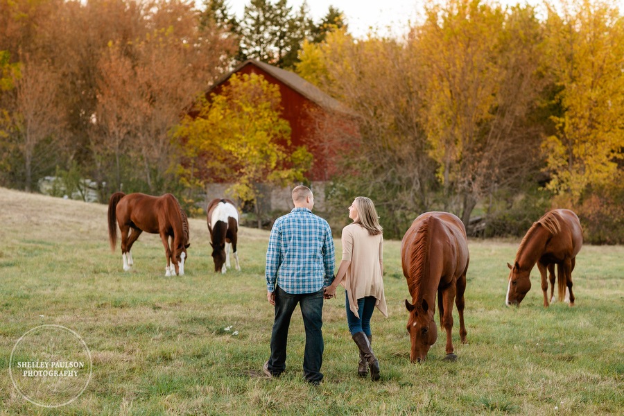 engagement-horses-minnesota-15.JPG