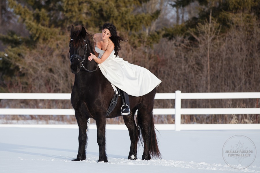 winter_equine_stock_photos-38.JPG