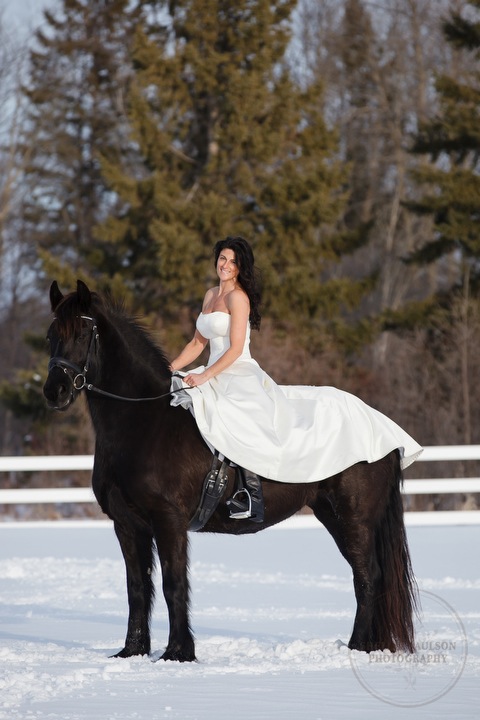 winter_equine_stock_photos-39.JPG