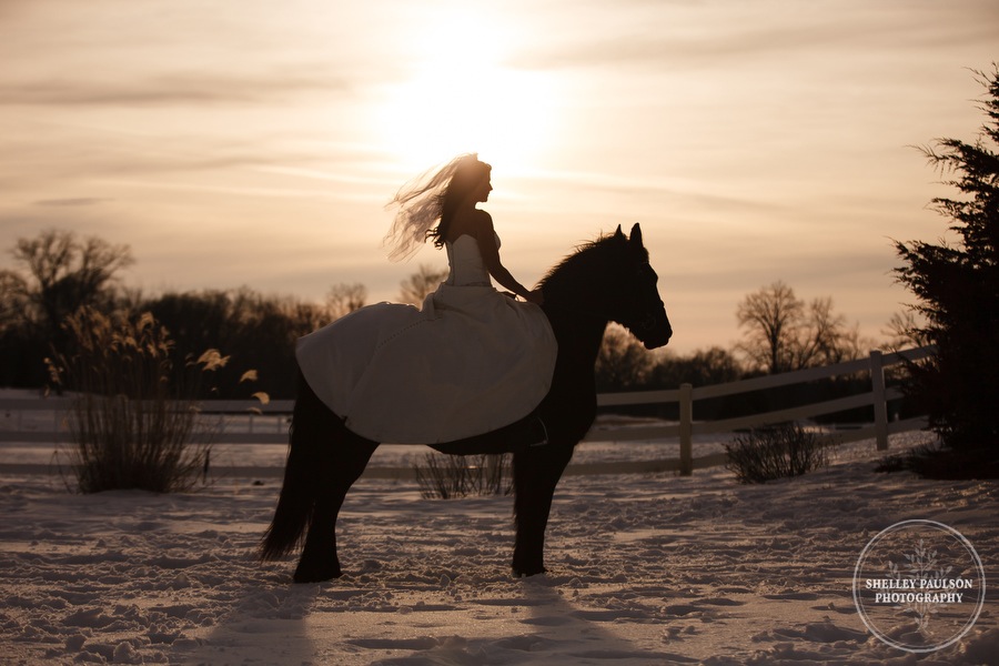 winter_equine_stock_photos-40.JPG