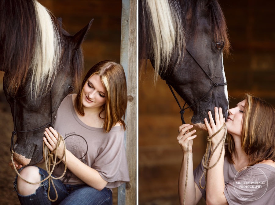 minnesota-equine-photographer-02.JPG