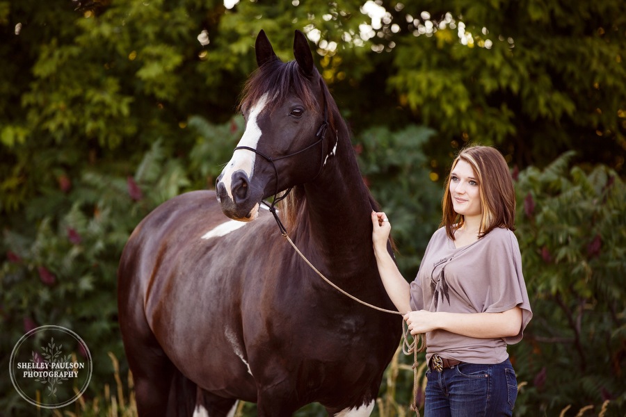 minnesota-equine-photographer-03.JPG