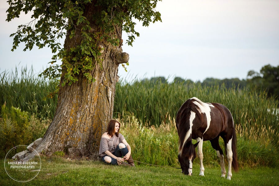 minnesota-equine-photographer-07.JPG