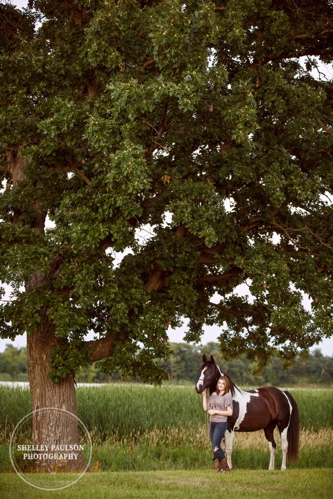 minnesota-equine-photographer-08.JPG