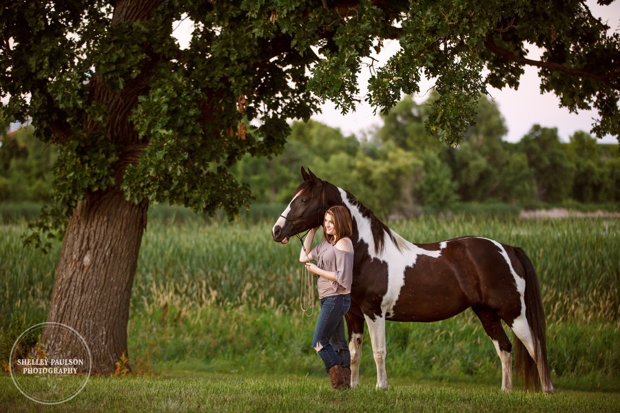 minnesota-equine-photographer-09.JPG