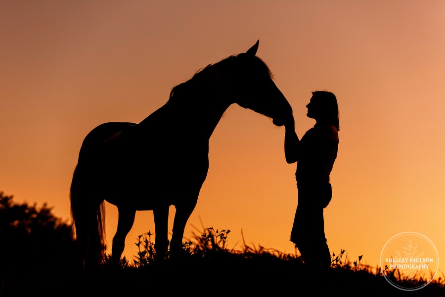 minnesota-equine-photographer-10.JPG