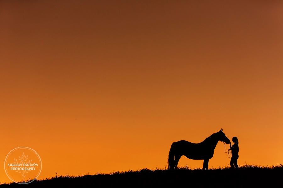 minnesota-equine-photographer-11.JPG