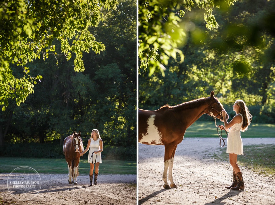 minnesota-equine-photographer-03.JPG