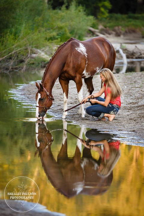 minnesota-equine-photographer-07.JPG