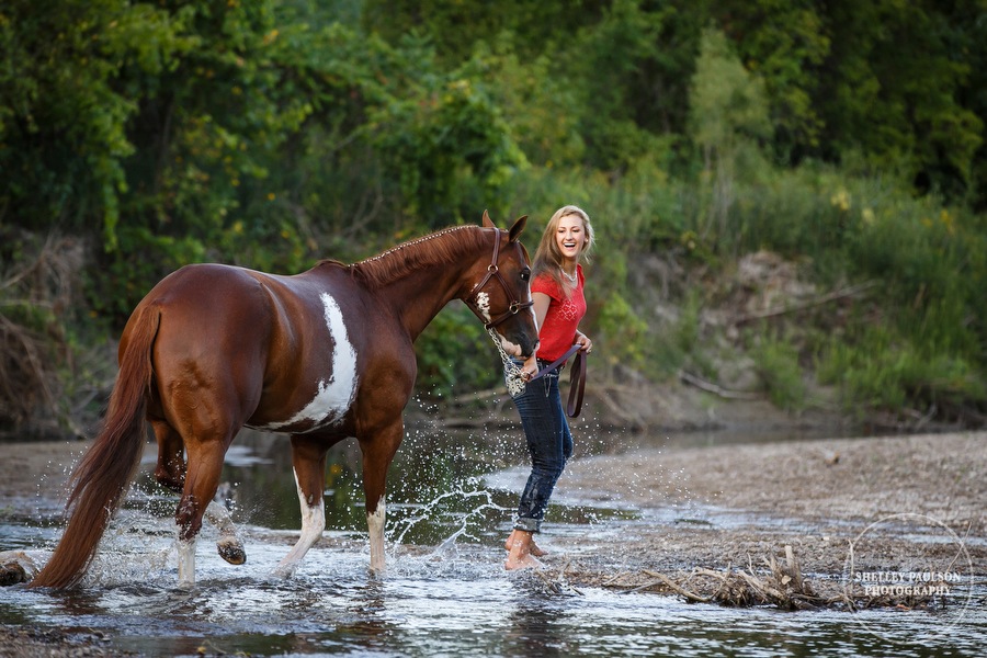 minnesota-equine-photographer-08.JPG