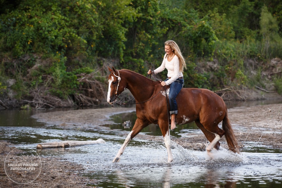 minnesota-equine-photographer-09.JPG