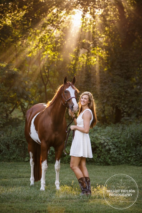 minnesota-equine-photographer-13.JPG