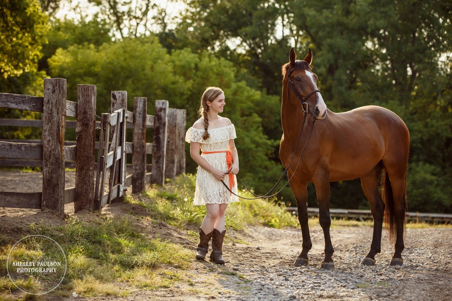 minnesota-equestrian-photographer-07.JPG