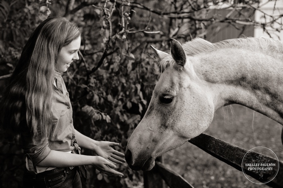 minnesota-equestrian-photographer-11.JPG