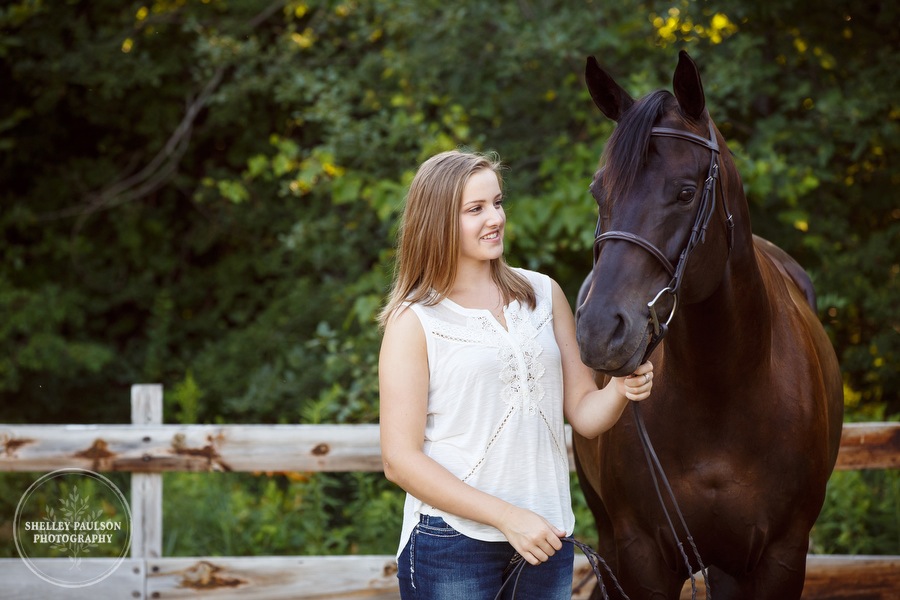 minnesota-horse-photographer-02.JPG