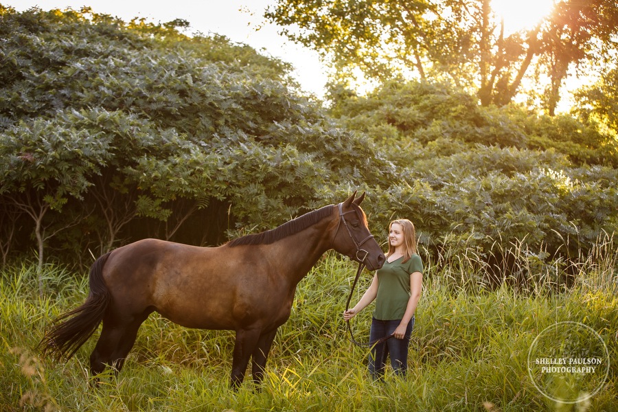 minnesota-horse-photographer-04.JPG