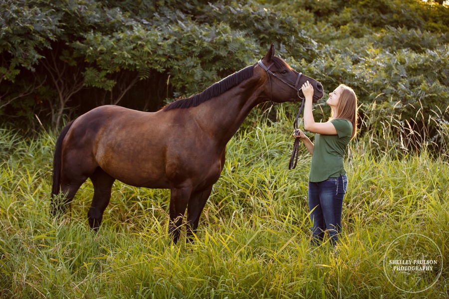 minnesota-horse-photographer-05.JPG