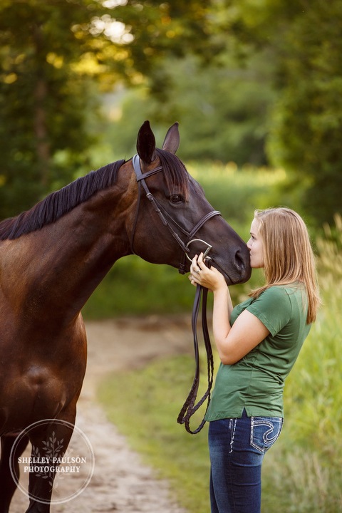 minnesota-horse-photographer-06.JPG