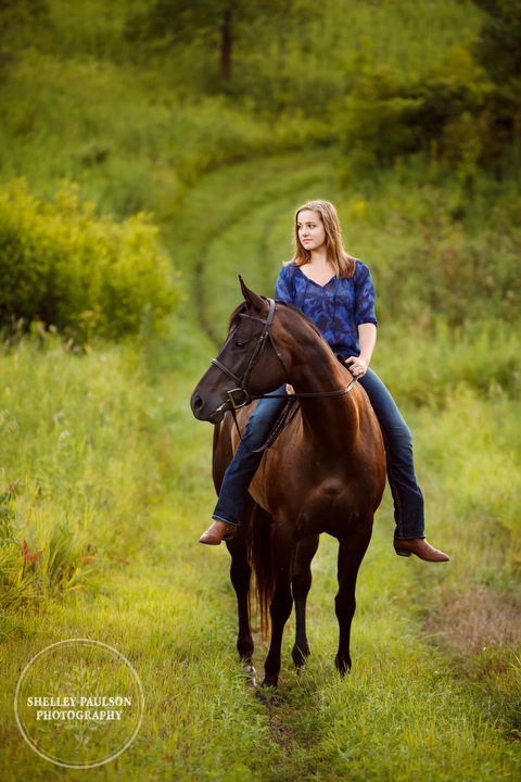 minnesota-horse-photographer-13.JPG