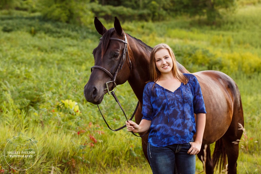 minnesota-horse-photographer-14.JPG