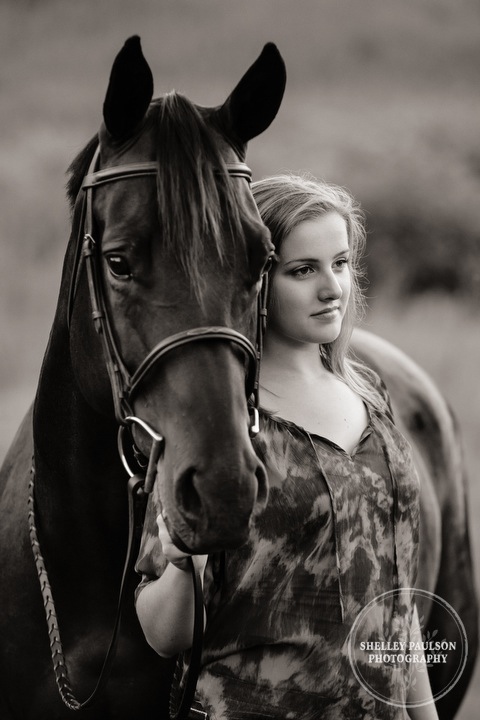 minnesota-horse-photographer-15