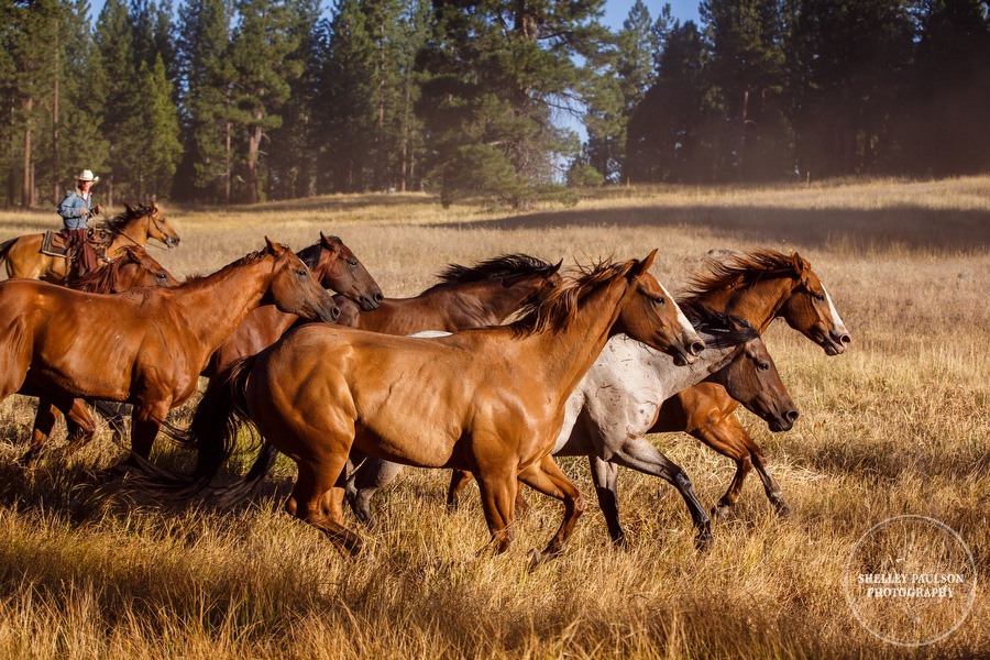 ranch-retreat-23.JPG