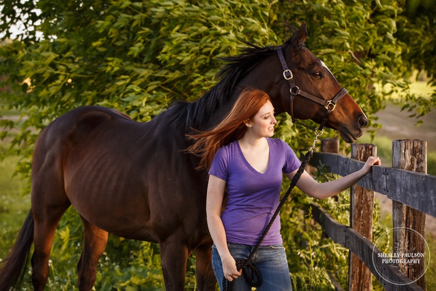 minnesota-horse-photographer-04.JPG