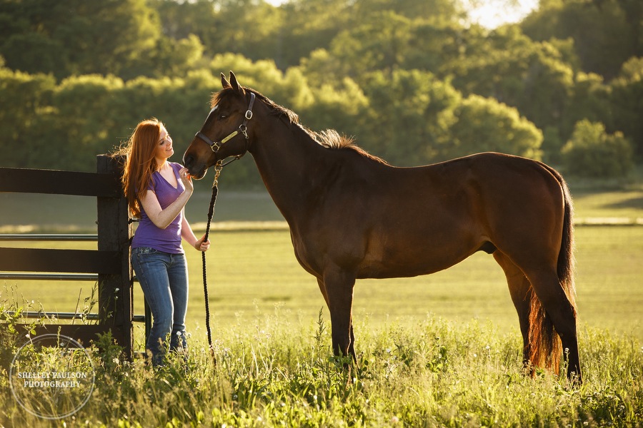 minnesota-horse-photographer-05.JPG