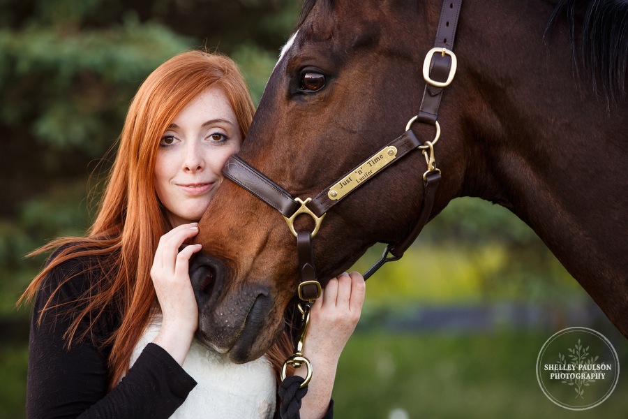 minnesota-horse-photographer-08.JPG