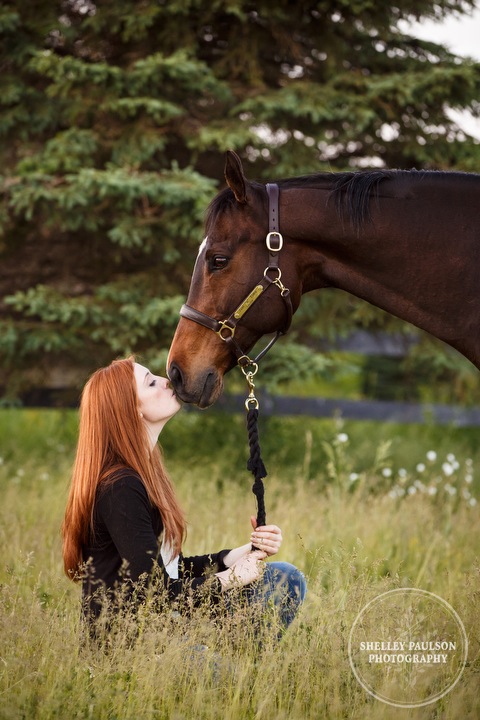 minnesota-horse-photographer-09.JPG