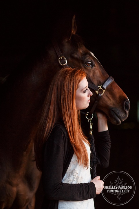 minnesota-horse-photographer-10.JPG