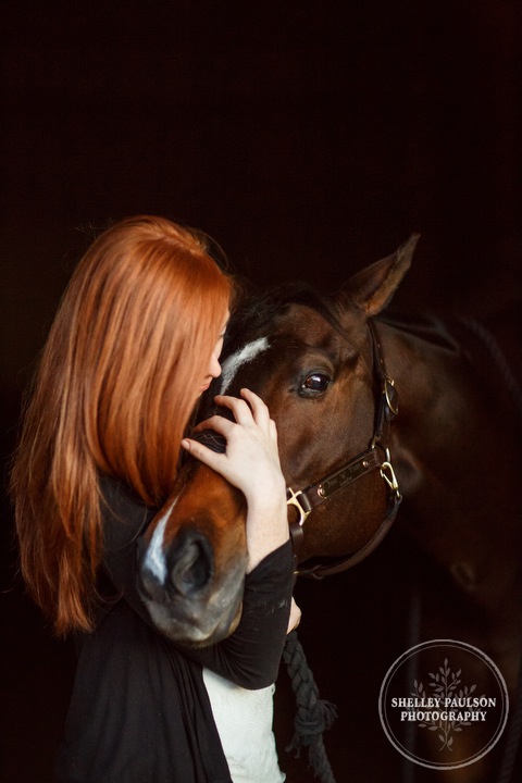 minnesota-horse-photographer-11.JPG