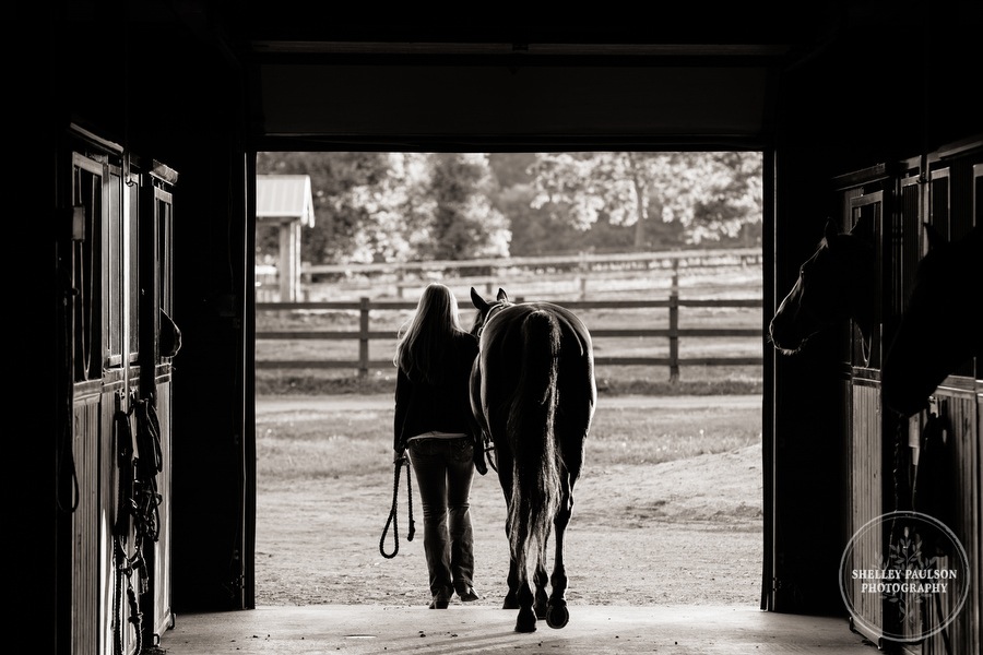 minnesota-horse-photographer-12.JPG