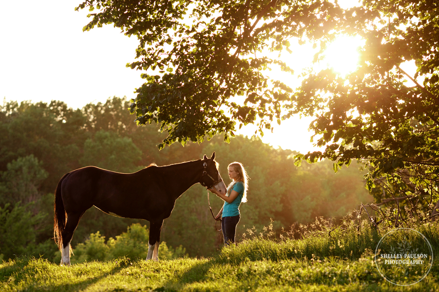 Alli and her Horses Dora and Buddy