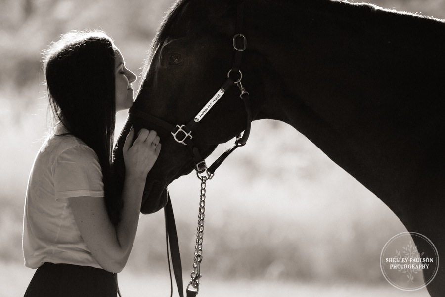 minnesota-horse-photographer-02.JPG