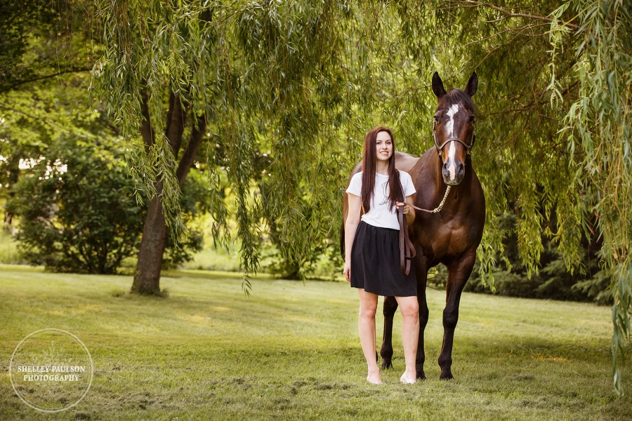 minnesota-horse-photographer-05.JPG