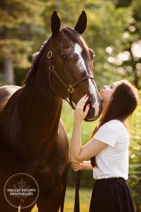 minnesota-horse-photographer-06.JPG