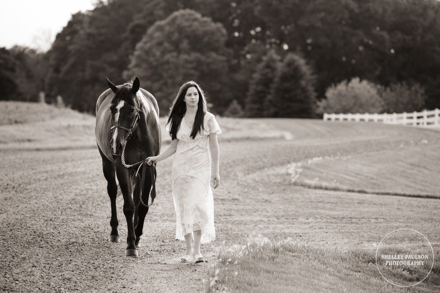 minnesota-horse-photographer-08.JPG