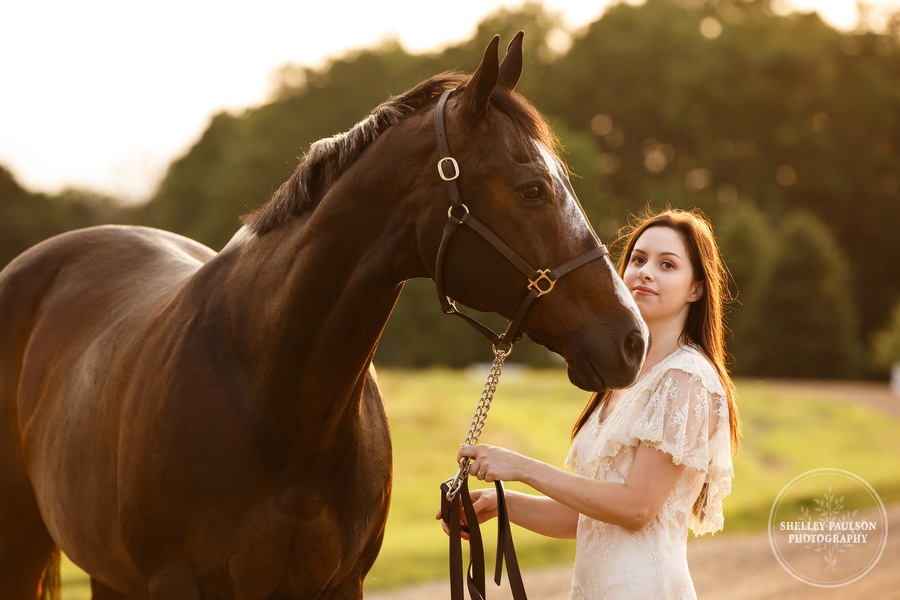 minnesota-horse-photographer-09.JPG