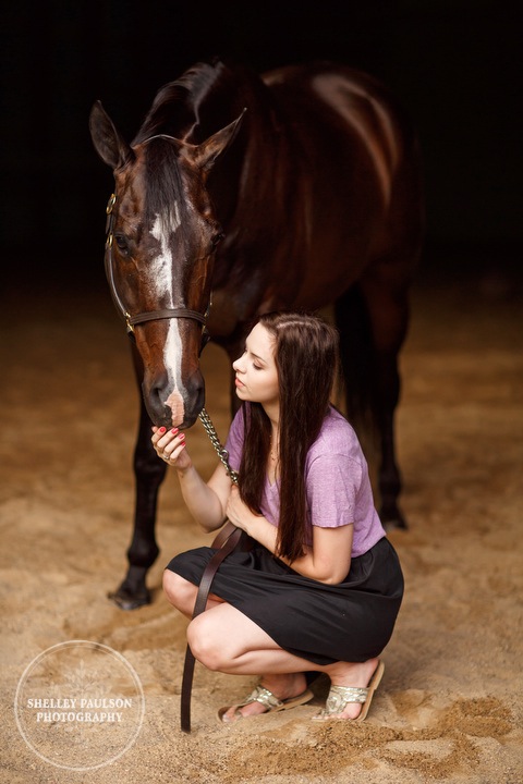 minnesota-horse-photographer-12.JPG