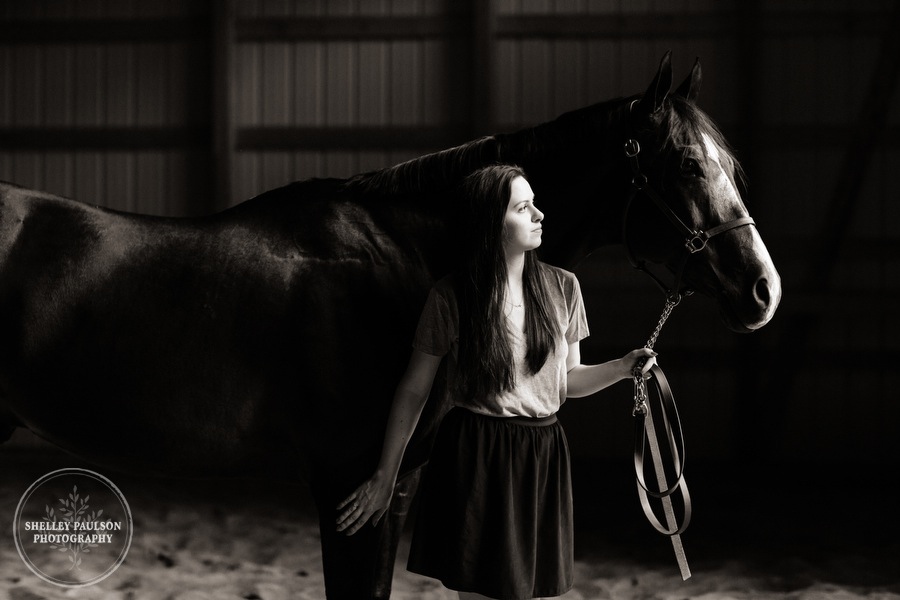 minnesota-horse-photographer-13.JPG